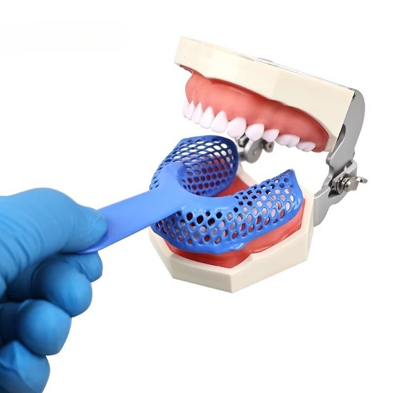 Dental Plastic-Steel Impression Tray Mesh Shape Precise Blue L/M/S/Ant/Side 2Pcs