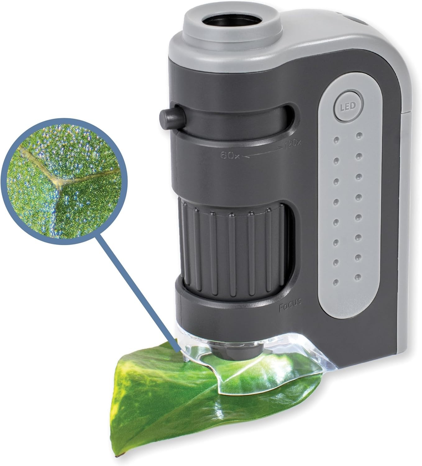60x-120x LED Pocket Microscope Portable Handheld Mini Student Science Lab STEM