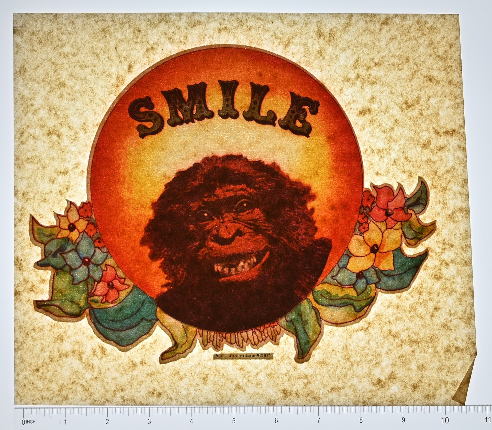 Original VINTAGE 1970s Heat Transfer | Smile Gorilla Ape Retro Floral Background