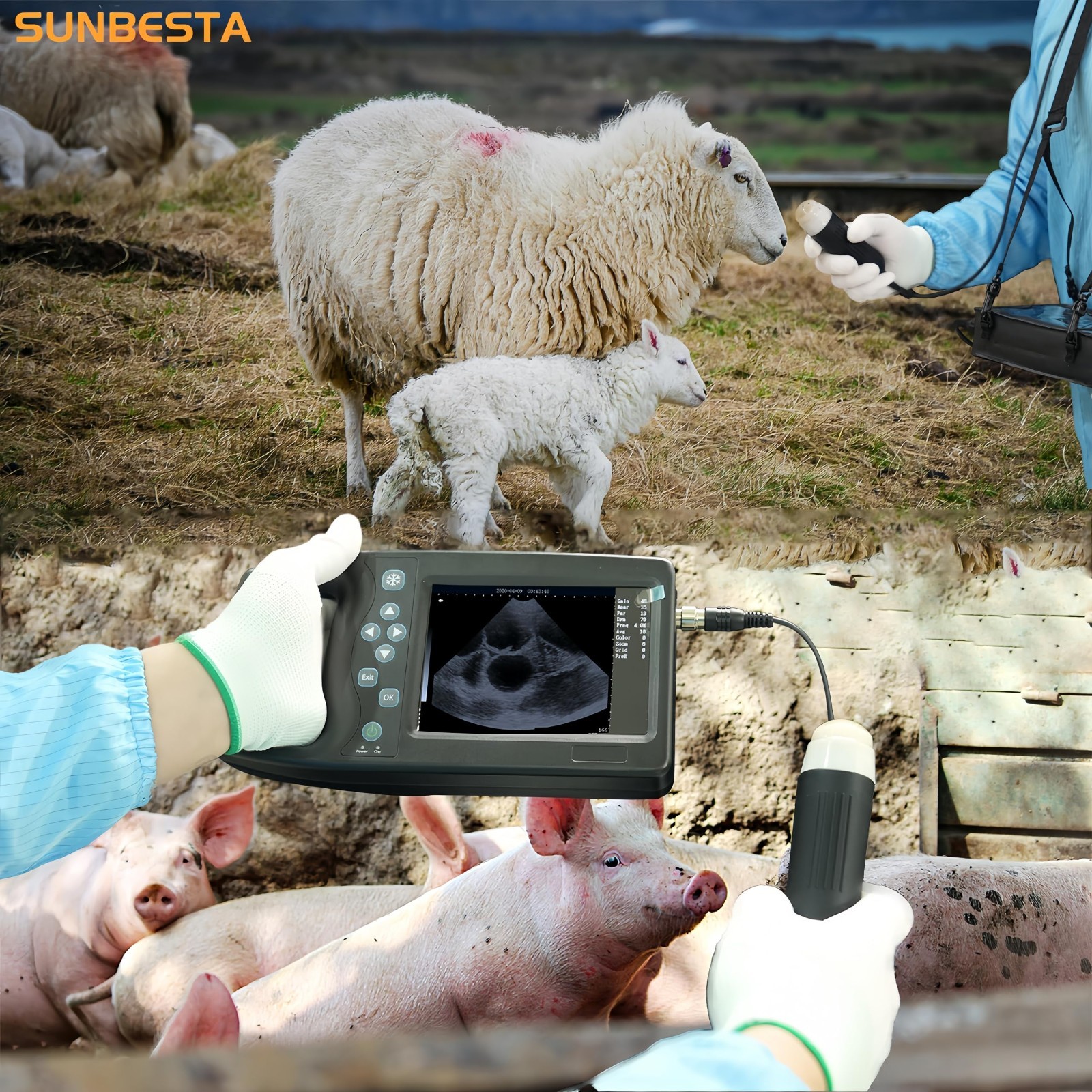 Vet Ultrasound Machine for Pregnancy 3.5Mhz Convex Probe for Dog,Cat,Goat,Pig