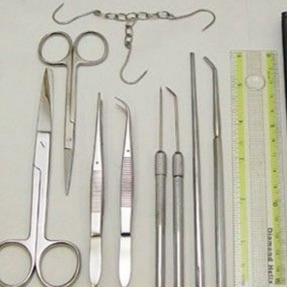 Student Dissecting Instrument Kit Stainless Steel German Grade