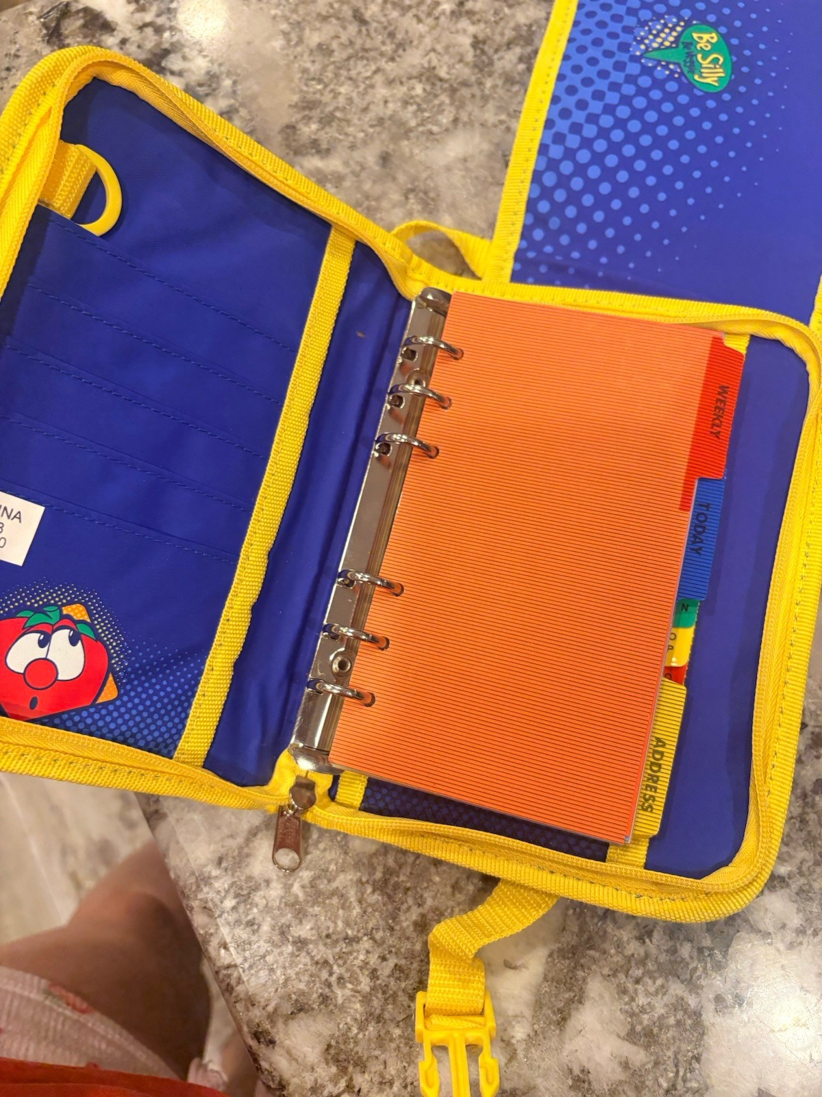Veggie Tales Day Planner Kids Zipper Notebook Organizer Address Book Shoulder