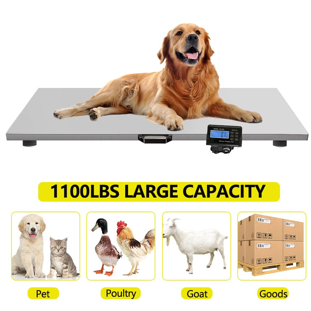 1100Lbs X 0.2Lbs Digital Livestock Scale Large Pet Vet Scale Stainless Steel Pla