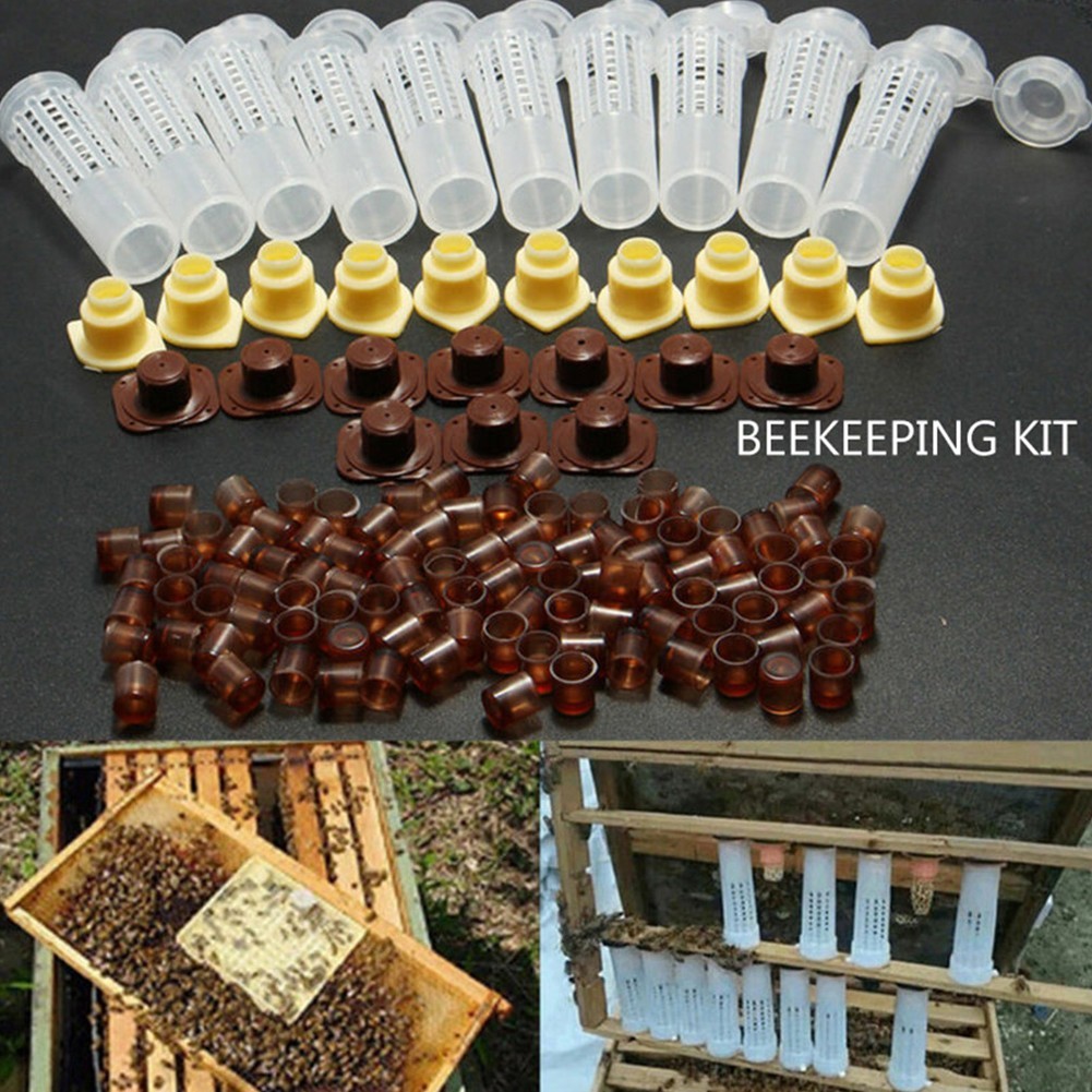 Rearing Cup Kit Plastic Bee Queen Box System Brown Complete 1 Set Home