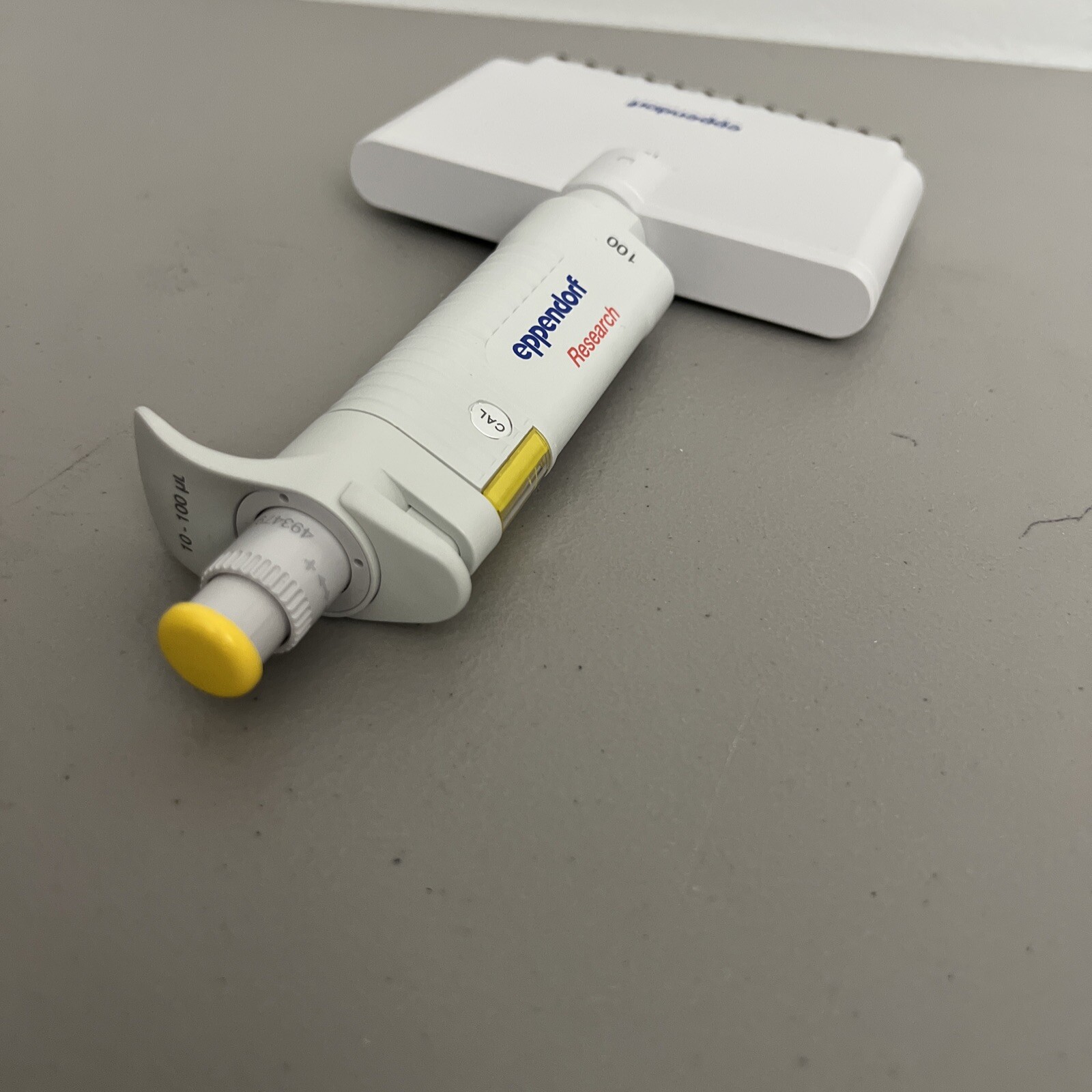 Eppendorf Research 12 Channel Pipette 100 10-100 uL Pipetman Pipettor