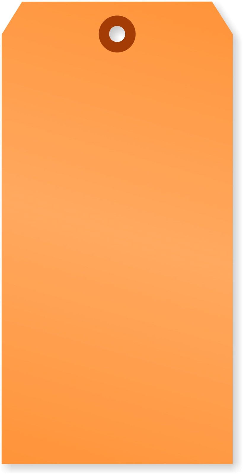 Fluorescent Orange Blank Tags with Pre-Punched Hole – 100-Pack, 6.25″ x 3.125…
