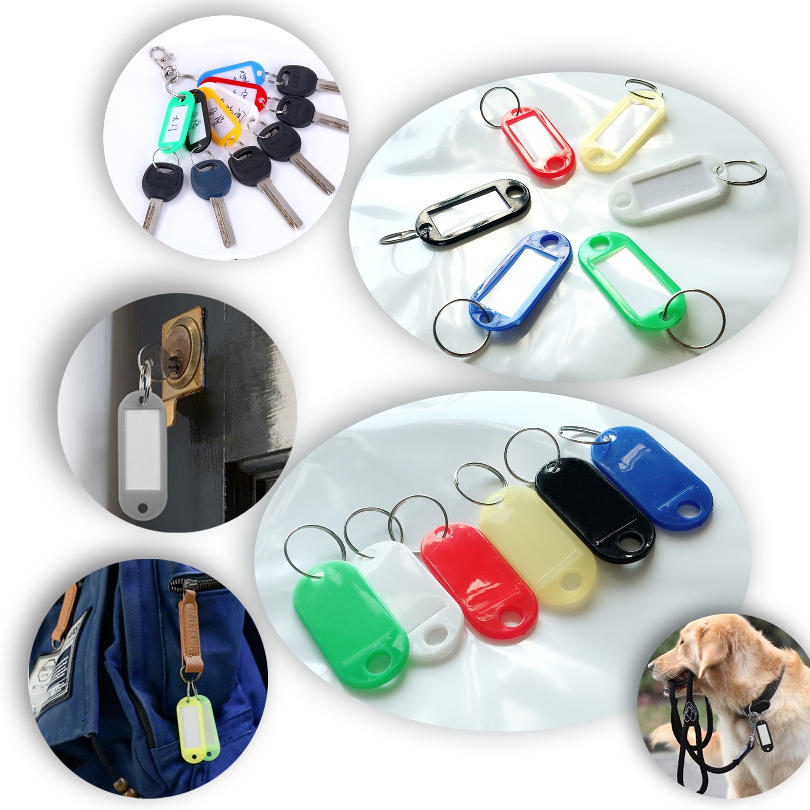 120 Pack Plastic Key Tags with Label Window ID Tag Split Ring Keychain 6 Colors