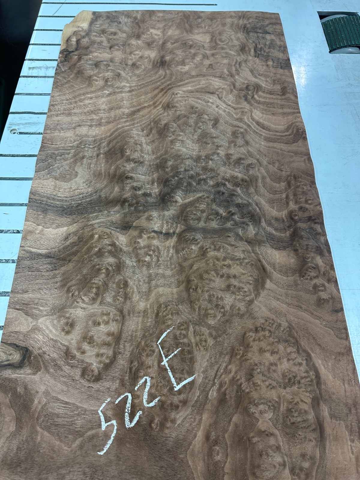 Walnut Burl Raw Wood Veneer 2 sheets 50″ x 18″ 522E
