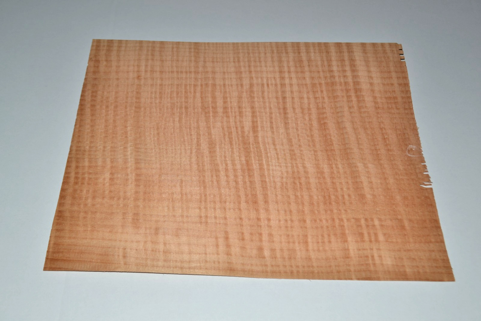 Western Red Maple Raw Wood Veneer Sheet 12 x 14 inches 1/42nd 8628-38