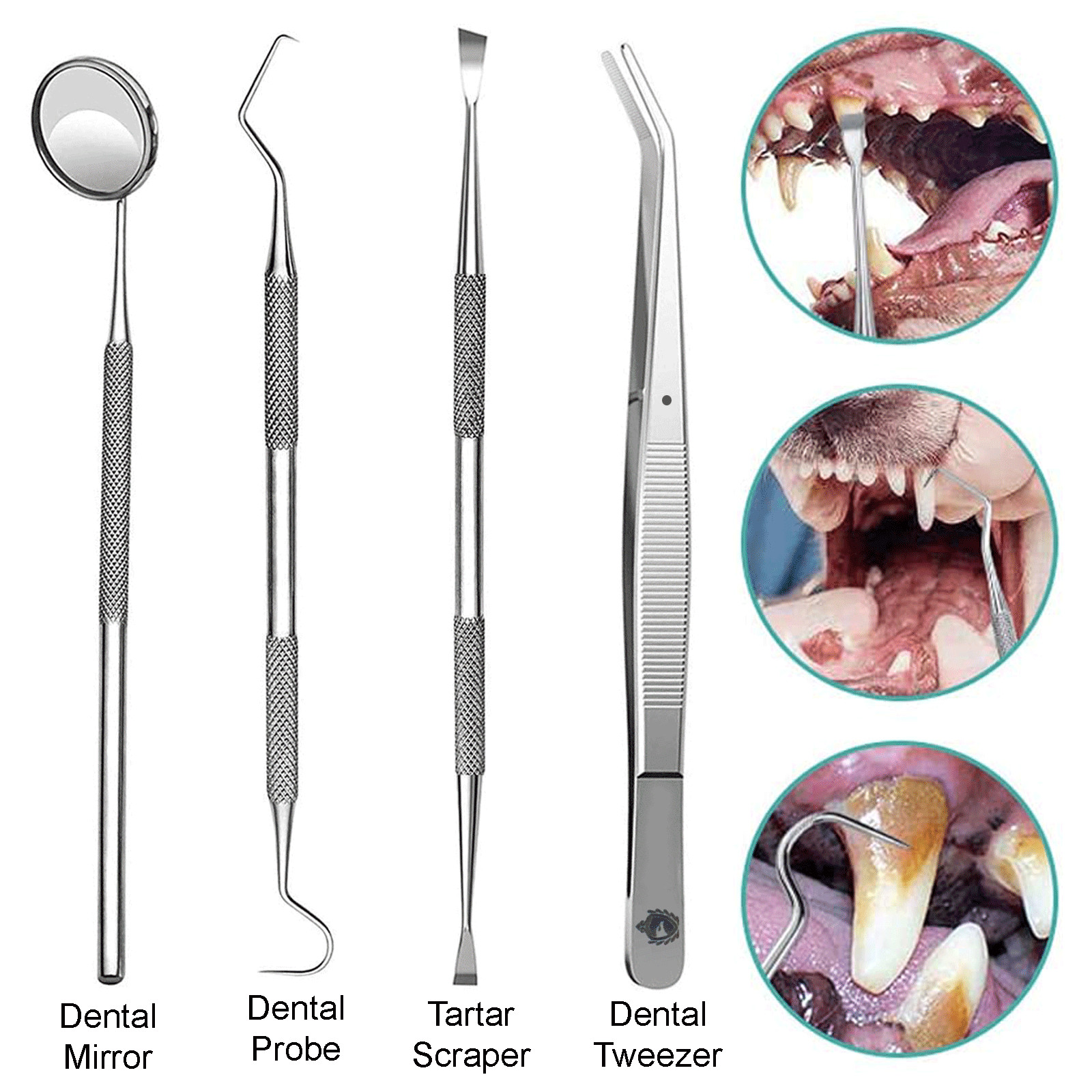 DENTAL DOG PETS TEETH CLEANING SET DENTIST SCRAPER TOOTH PICK ORAL CARE KIT 4 PC