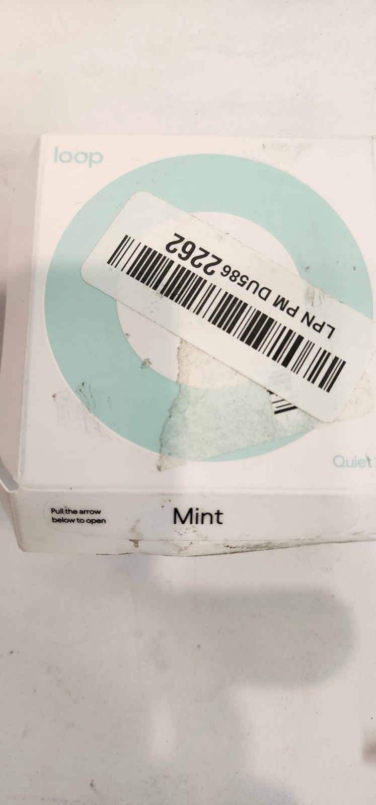 Loop Quiet 2 Noise Reducing Silicone Earplugs with Case – Mint Green