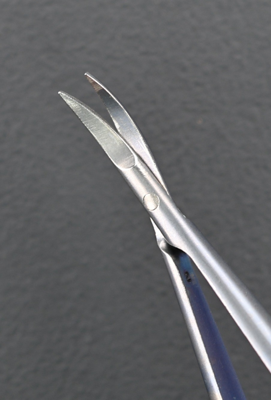 ASSI SDCT16R8 MicroLite Dissecting Scissors, Titanium, Curved, 6.25″