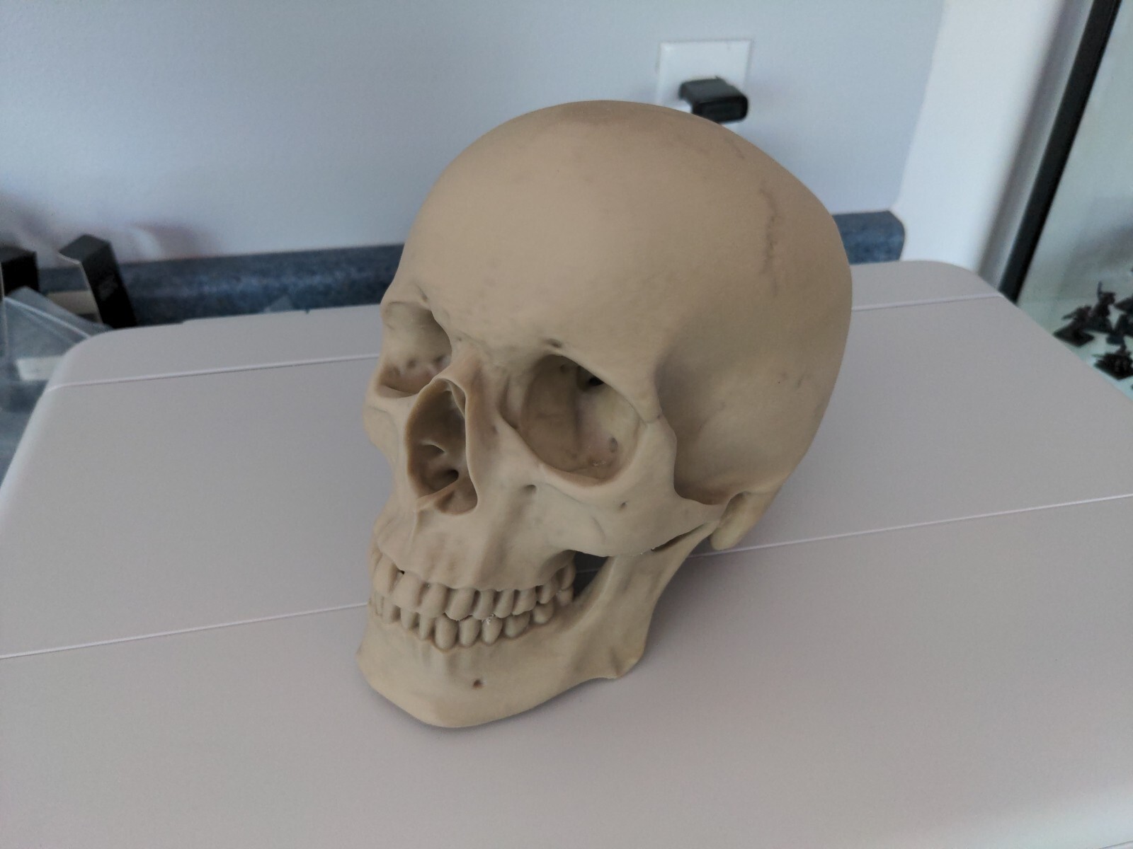 Anatomically Correct Human Skull 3d Printed!