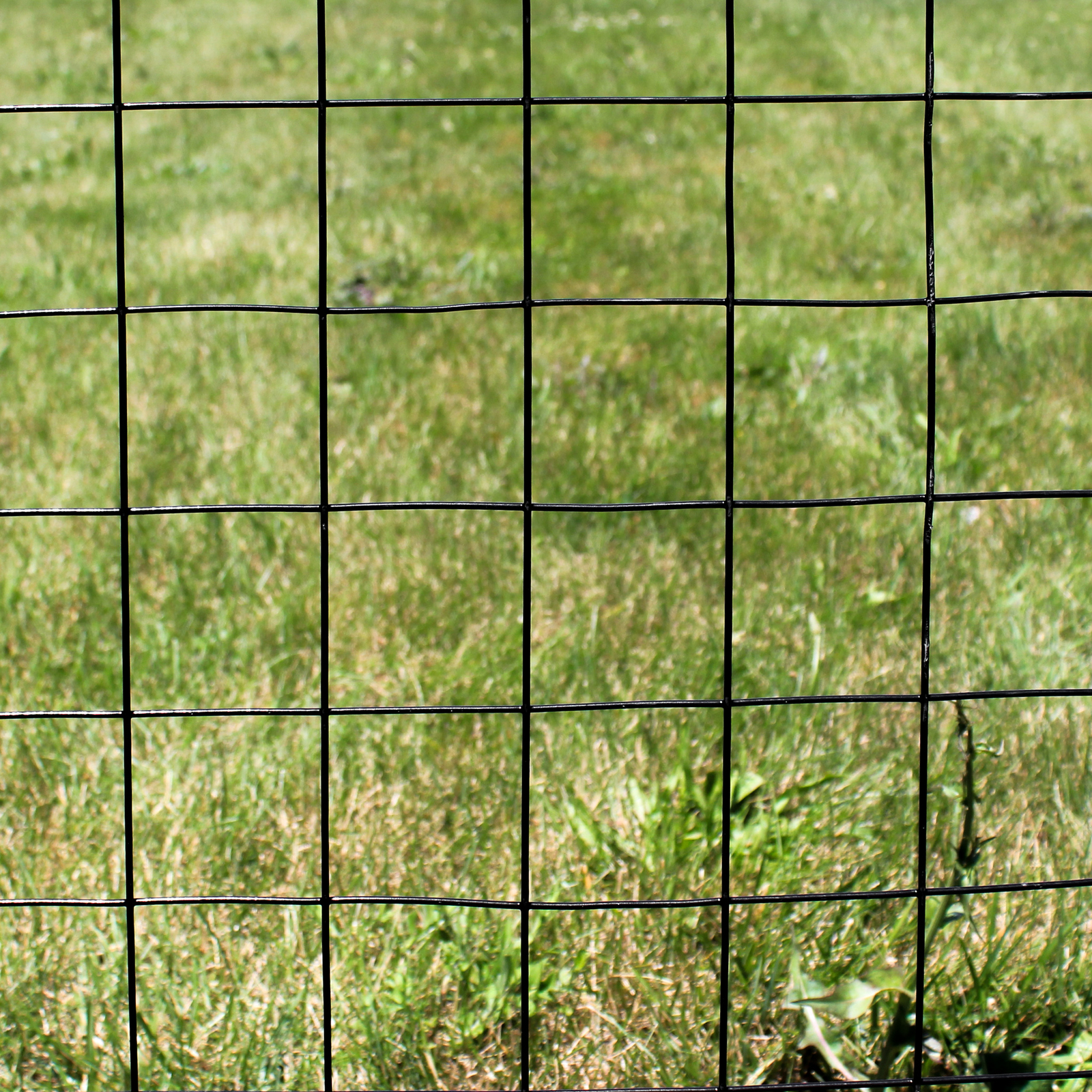 4’x100′ 12.5ga Galv Steel Black PVC Coated Welded Wire 3»x3» – Animal Fencing