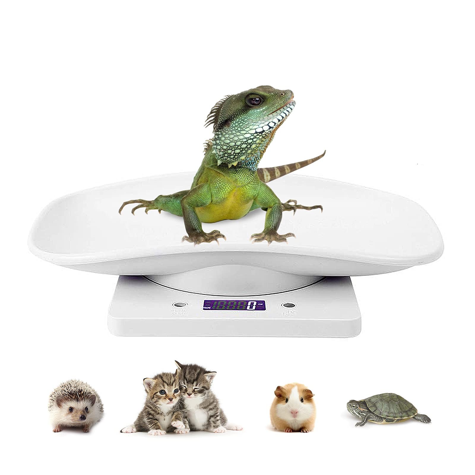 Digital Pet Scale LCD Electronic Small Animals Weighing Scale, Kitchen Food S…