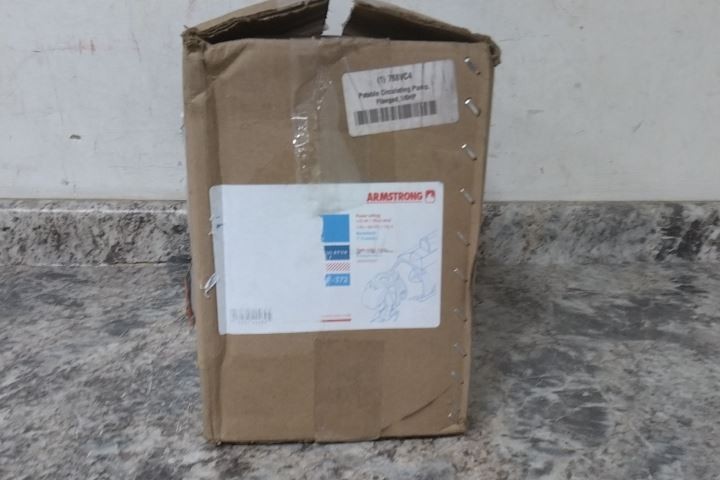 Armstrong Pumps Inc. 174035MF-143 1/6 HP 240VAC Potable Water Circulating Pump