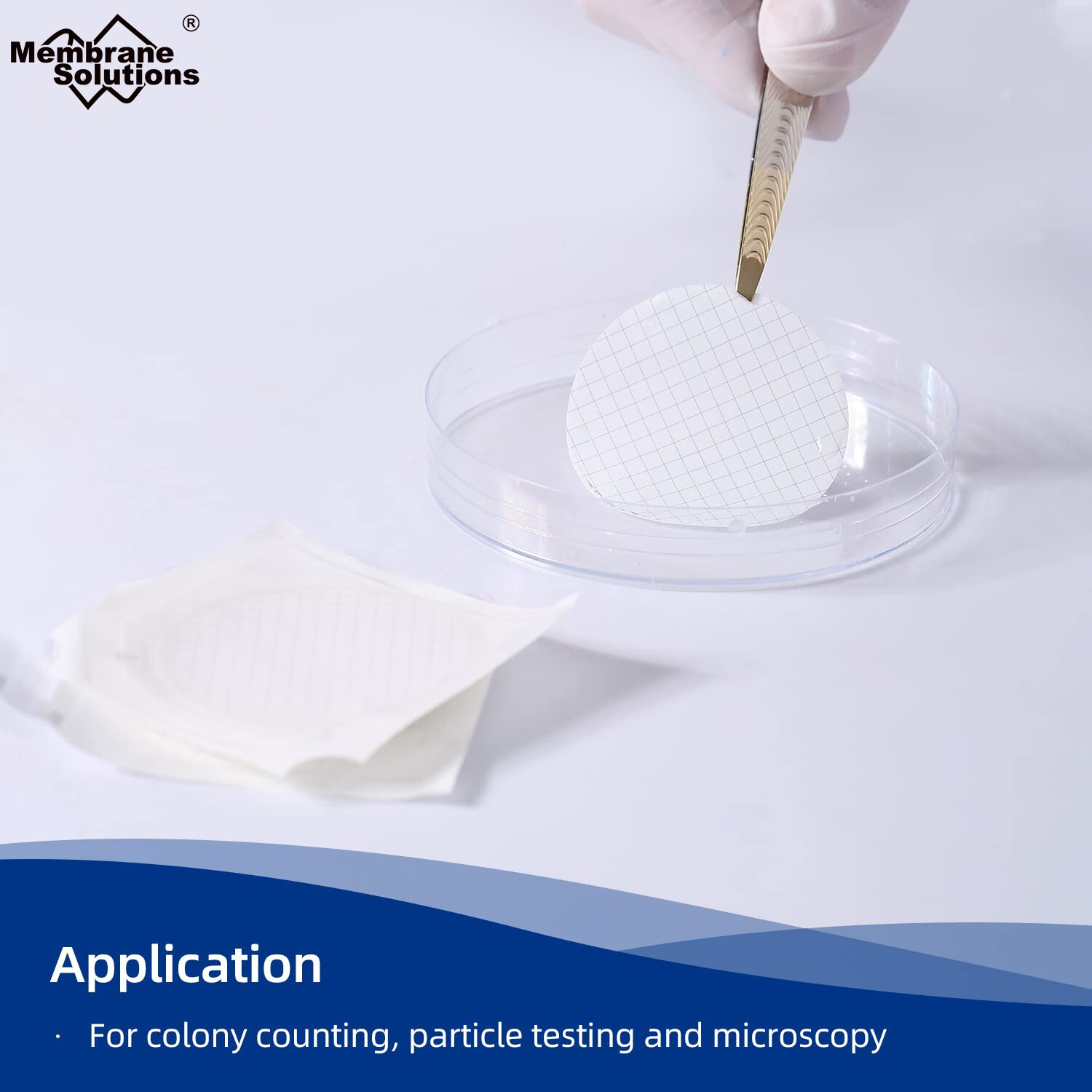 MCE Membrane Filter Sterile MCE Gridded Membrane Filter 47mm 0.45μm,Hydrophilic