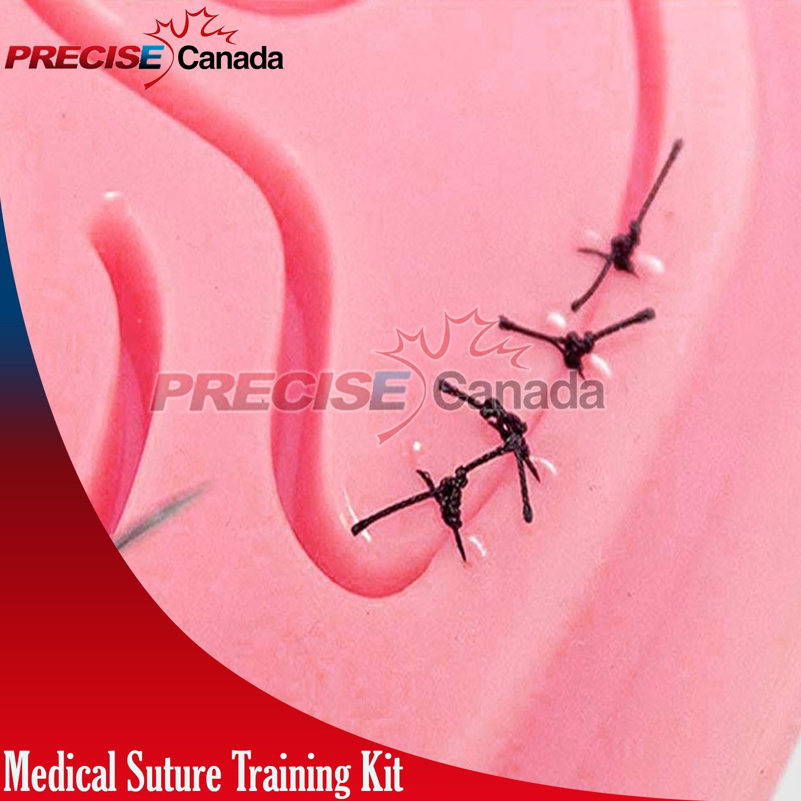 3D Silicone Laparoscopic Surgery Training Model Anatomical Teaching DS-1395