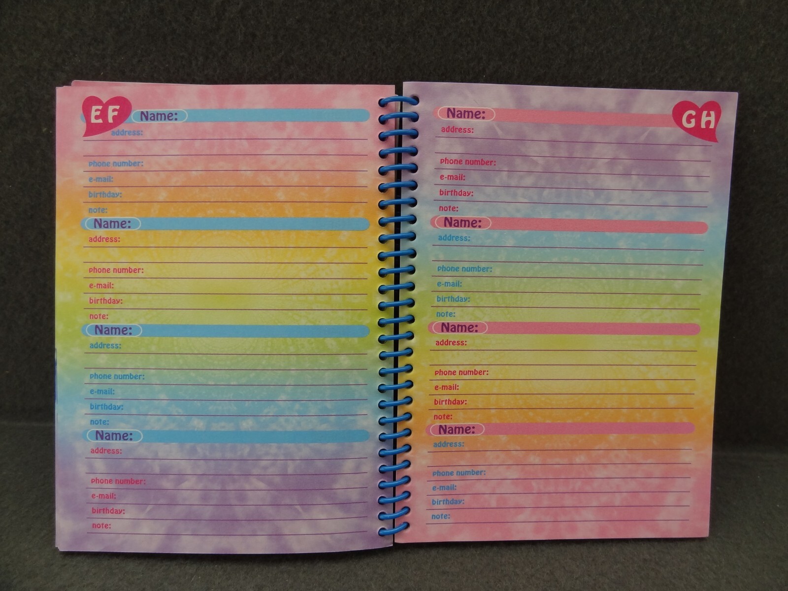 Lisa Frank 5×7 2000 Agenda Address Book Schedule Calendar Contact Spiral Cat Y2K