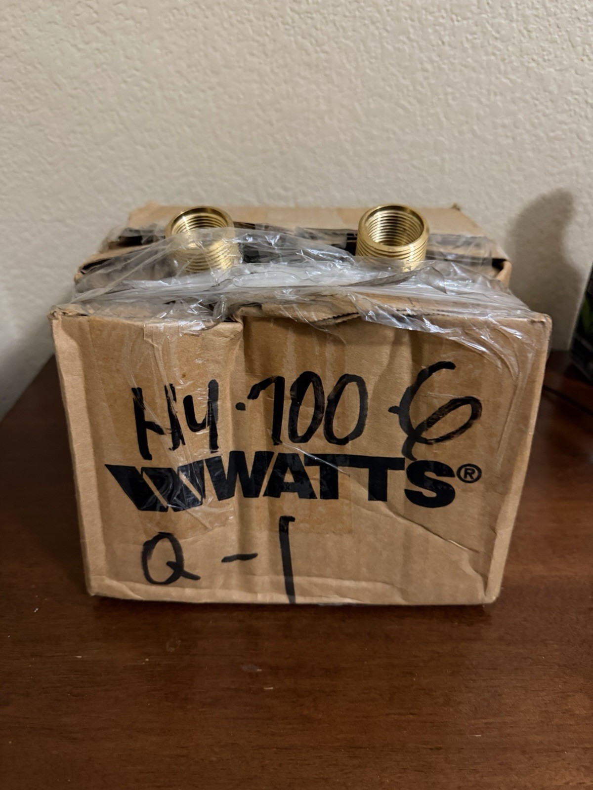Watts HY-700-6 Non-Freeze Dual-Temp Wall Hydrant With SS Box