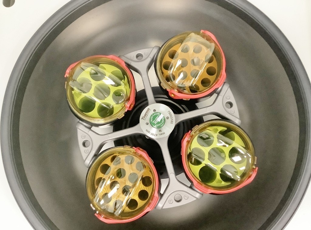 Heraeus Megafuge 40R Refrigerated Centrifuge TESTED with Warranty SEE VIDEO