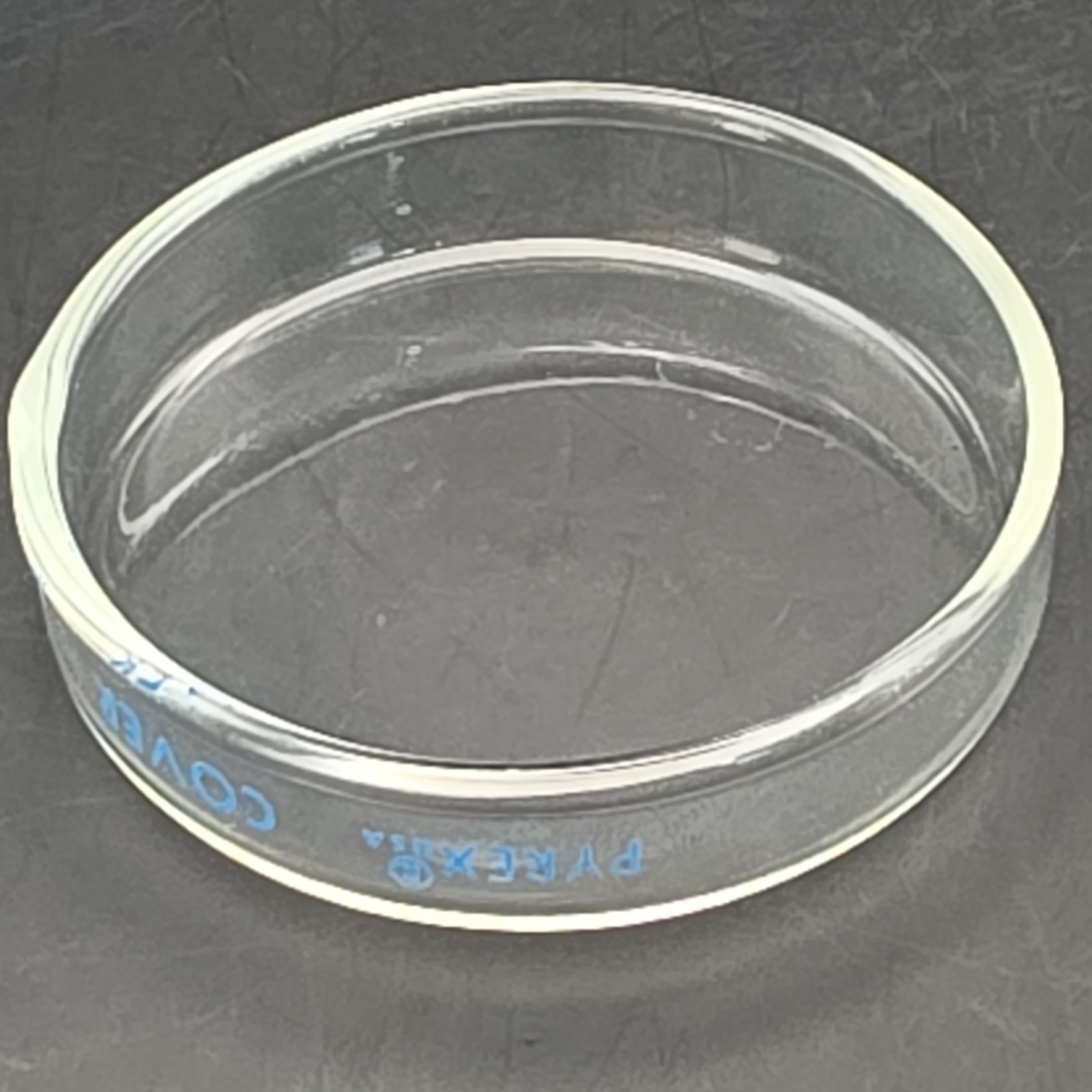 Vintage Corning Pyrex 100mm Glass Petri Dish Cover Only Blue Lettering 3160-101C