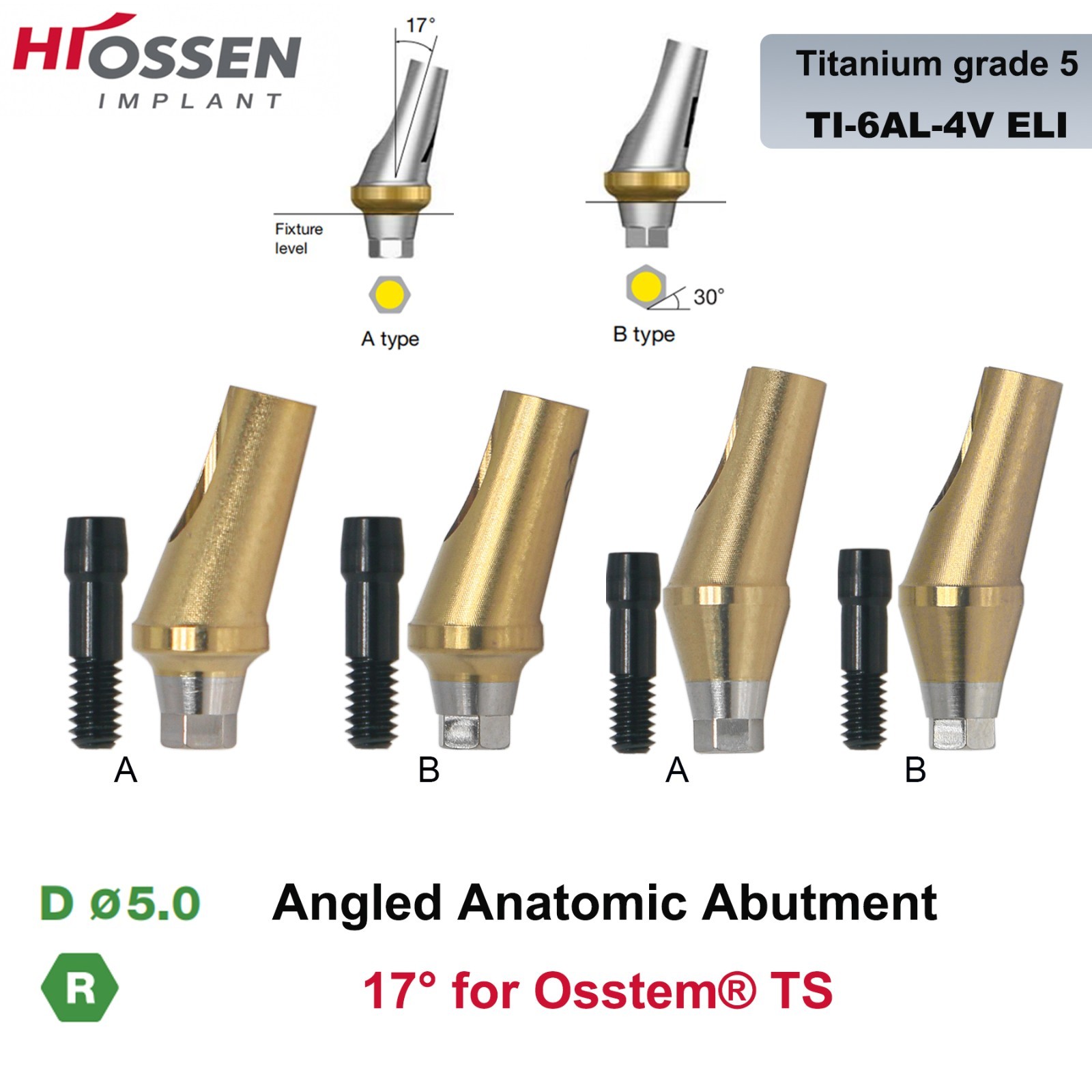 US 17° Angulated Abutment Regular Hex A/B Type For Osstem TS Regular Platform Ti