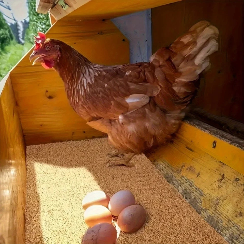10 Pack Chicken Nesting Pads for Hens Fits Most Nesting Boxes Coop Nest Liners