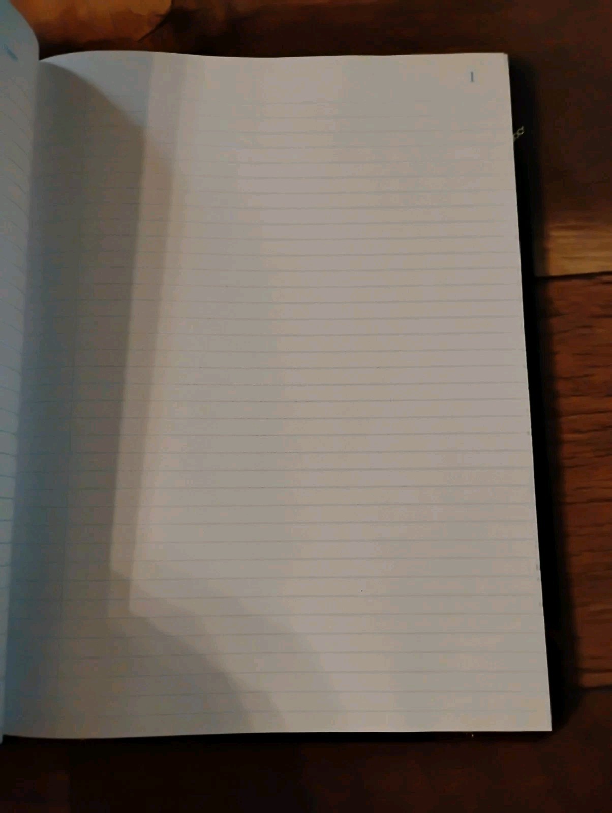 Boorum & Pease Log Books: Lot Of 2: G21-150 R/9 150 R: Open/Unused