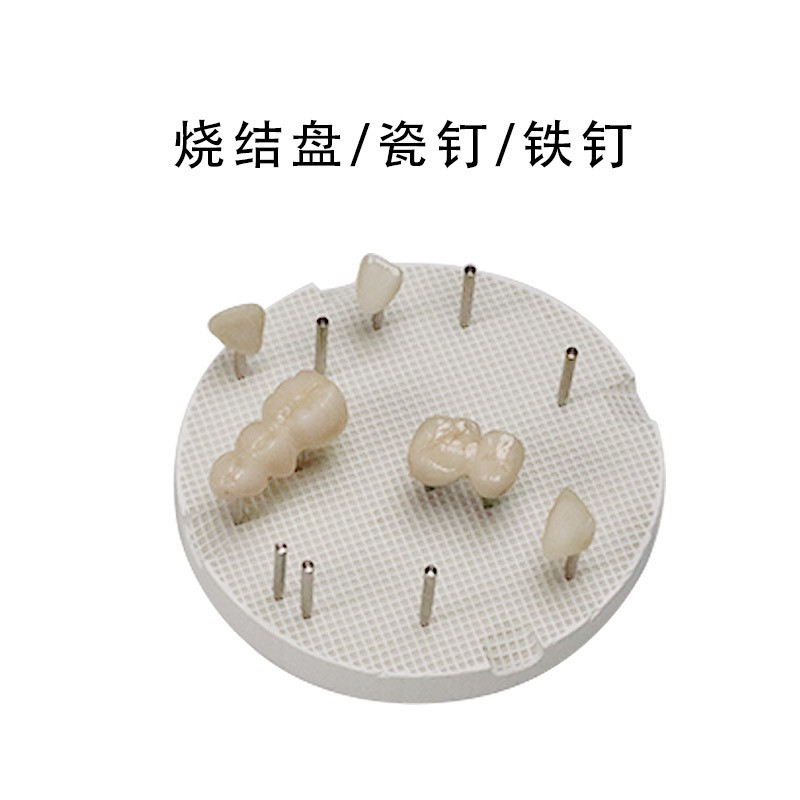 20 Pcs/Bag Dental Lab Supplies Honeycomb Firing Tray Metal Pin For Model Work