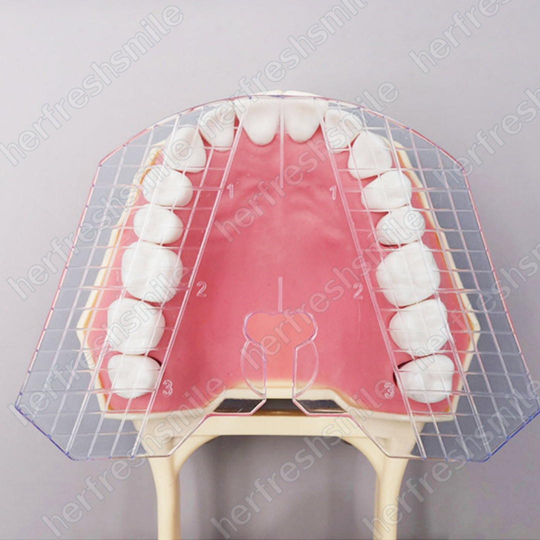 2Pcs Dental Guide Template Plate Denture False Teeth Arrangement Articulator USA