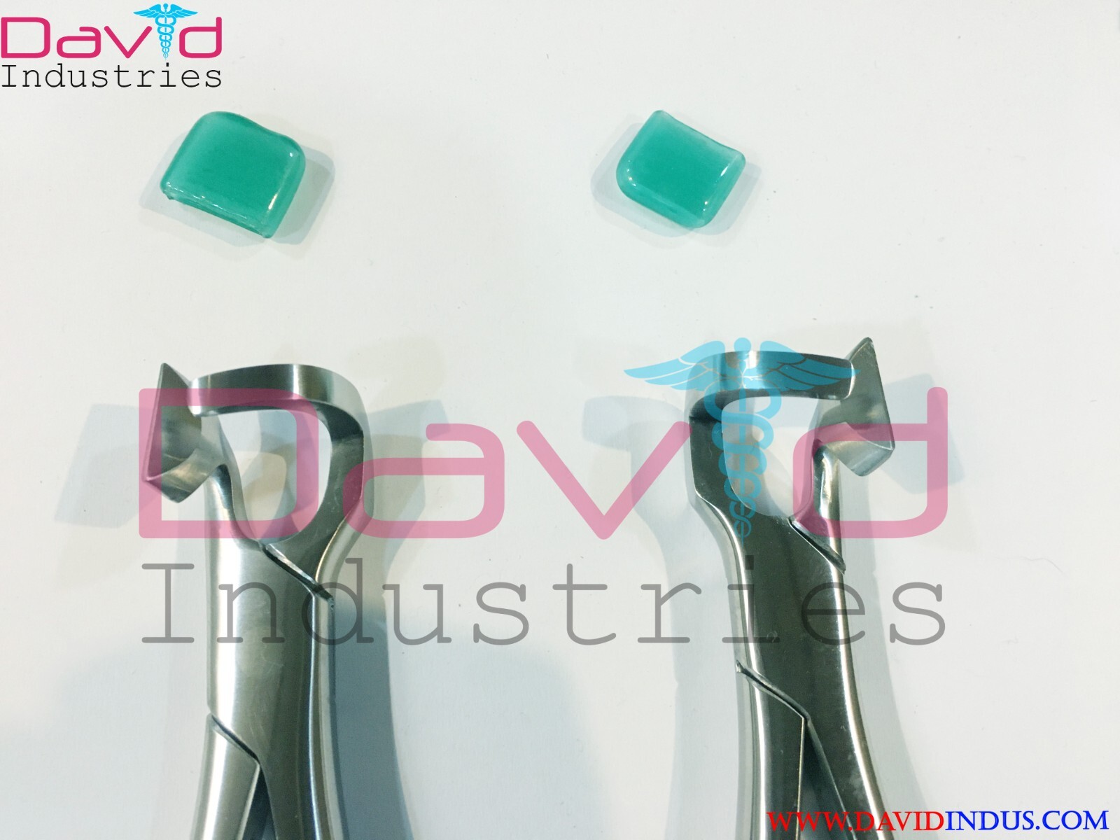 6 PCs Set Dental Physics Forceps Standard Series Plus Molar 100 BUMPERS Free