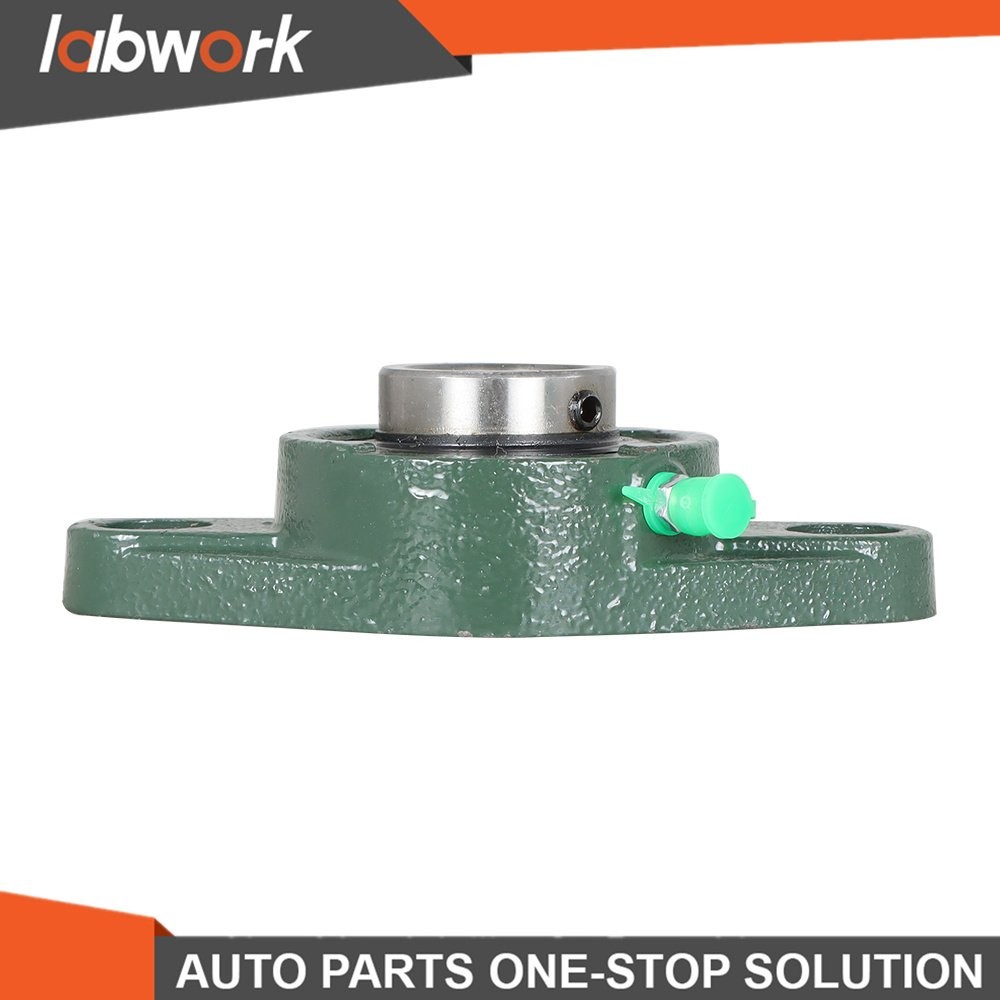 Labwork 1″ Bore UCFL205-16 Pillow Block Flange Bearing 2 Bolt Solid Base 10Pcs