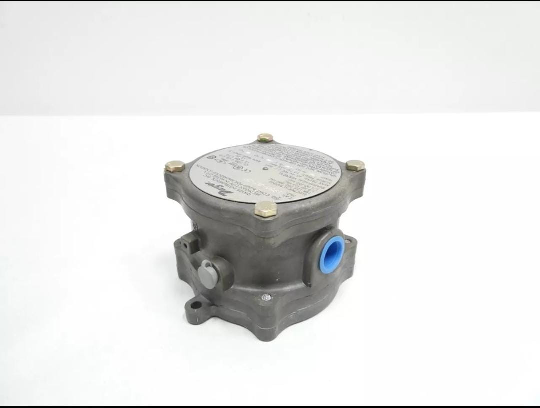 Dwyer 1950G -20-B-24-NA Explosion-Proof Switch – Gray