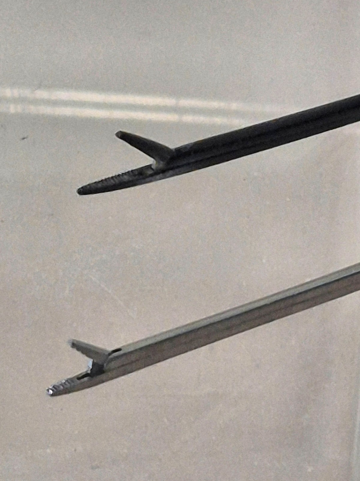 Micro Alligator Forceps, ENT (2 sizes available)