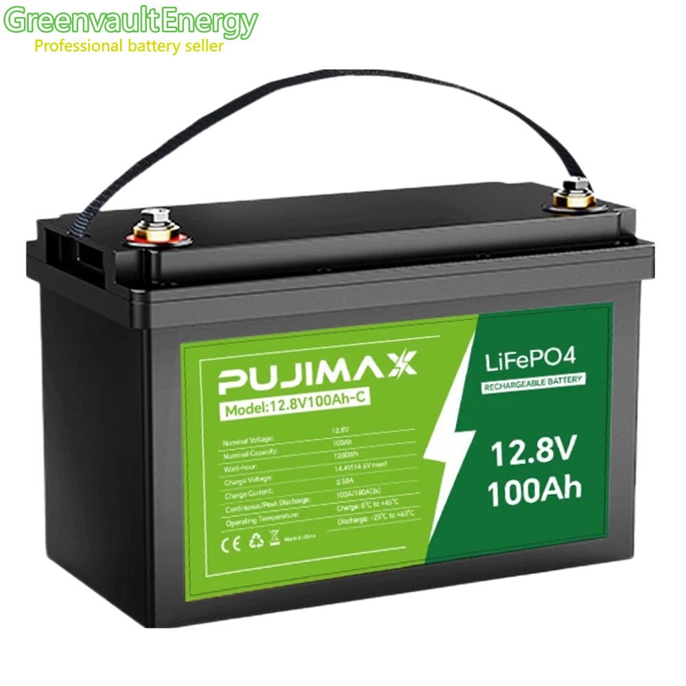 PUJIMAX 12V 100Ah LiFePO4 Lithium Battery BMS 100Ah Cycle Deep for Solar RV NEW