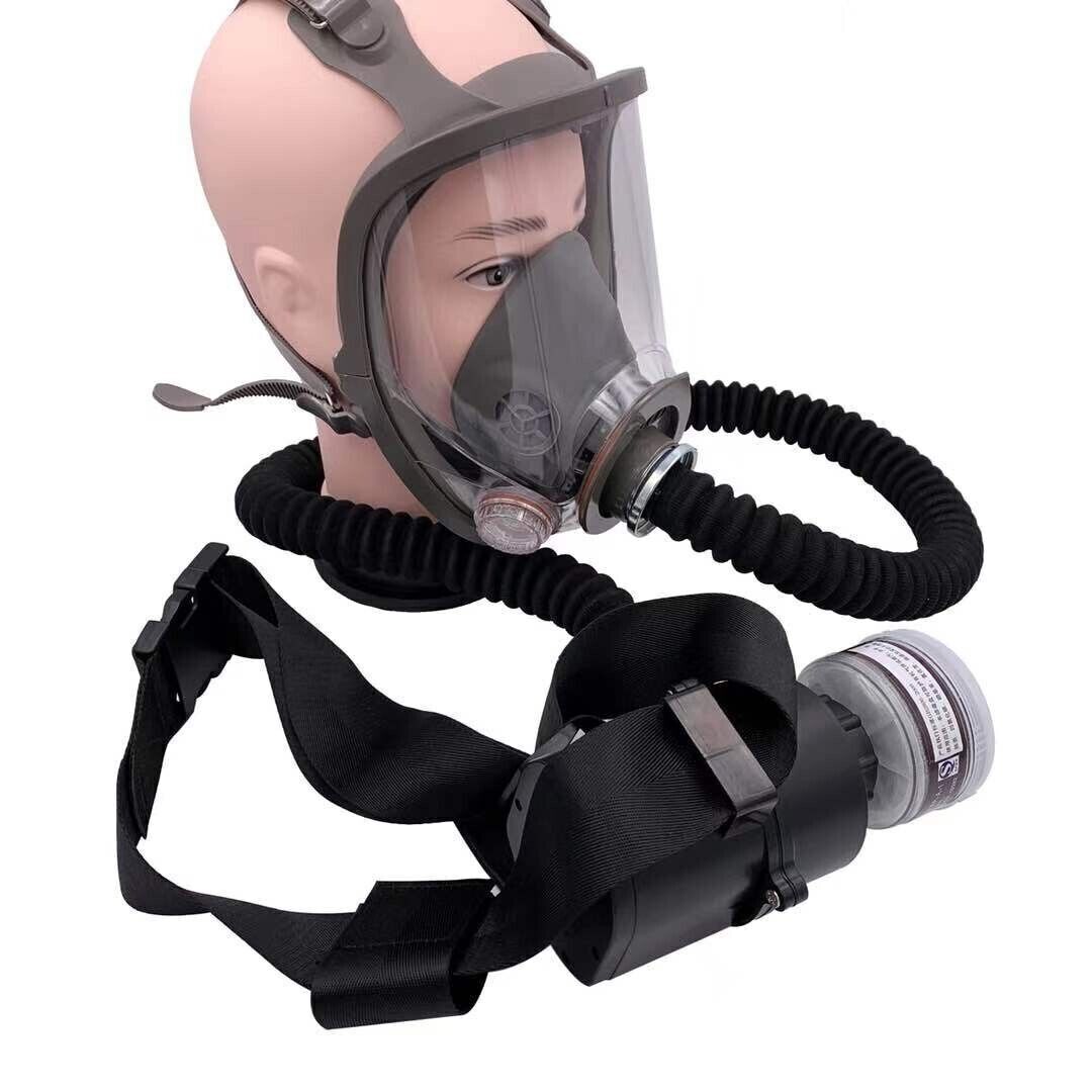 Electric Constant Flow Supplied Air Fed FullFace Gas Mask Respiratory protection