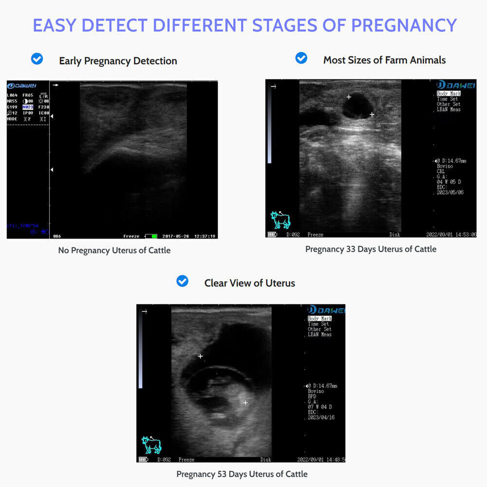 Veterinary Ultrasound Scanner Convex probe Pregnancy Test for Sheep Goat Pig dog