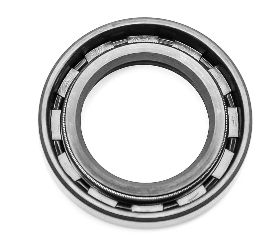 EAI Metric Oil Shaft Seal 25X40X7mm Dust Grease Seal TC Double Lip w/ Spring