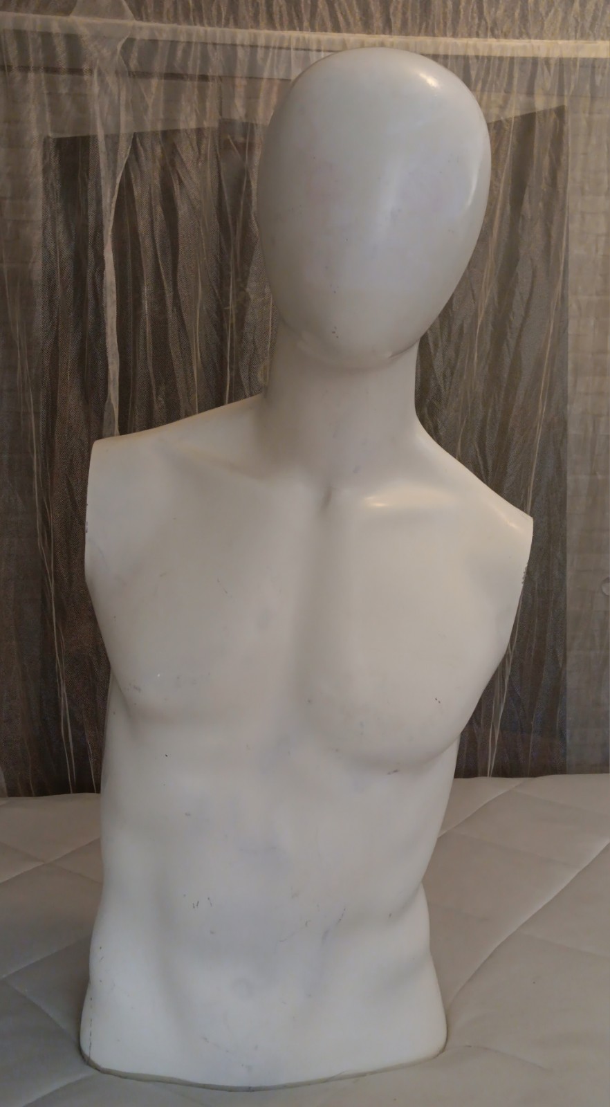 Male Egghead Torso Mannequin – Armless Display Form – Mannequin Like Display