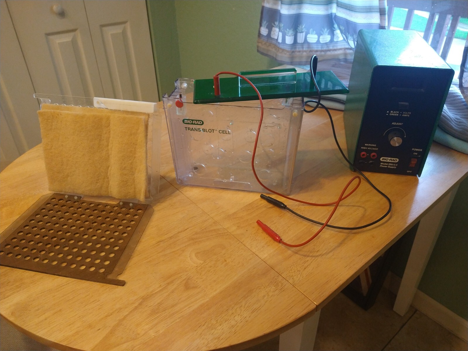 Gel Electrophoresis and ImmunoBlot Devices