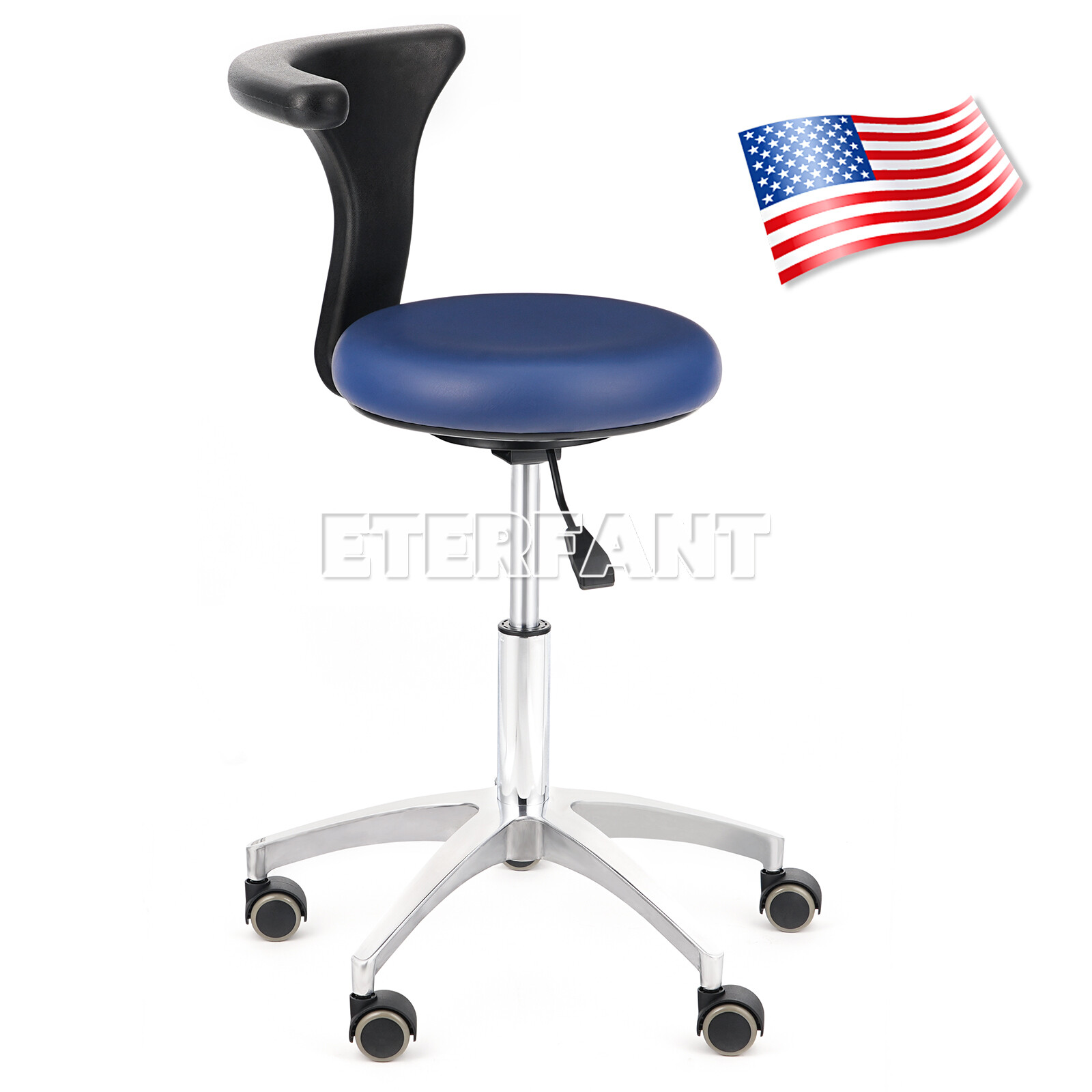 ETERFANT Adjustable Mobile Chair/Medical Microscope Stool Chair with Armrest