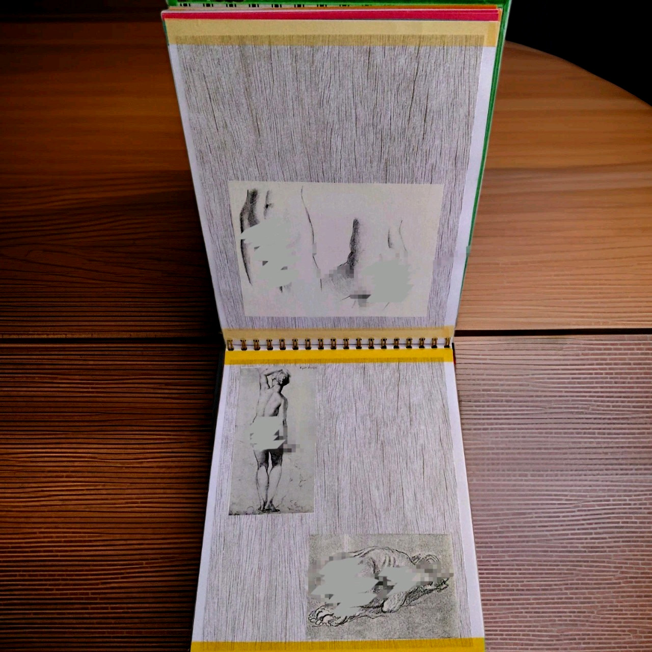 Human Body Anatomy Nudes Artsy Junk Journal Handcrafted Book 48 Pages
