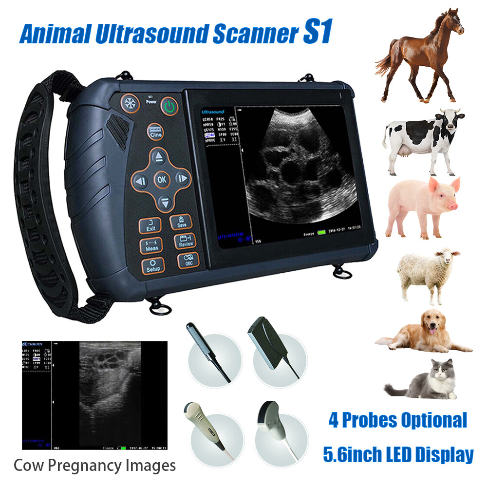 DAWEI Professional Veterinary Ultrasound Machine with Rectal probe,Convex probe