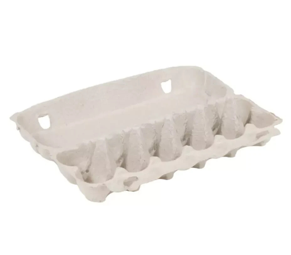 240 Pack Bulk Wholesale 1 Dozen Extra Large Natural Pulp Beige Egg Cartons NEW