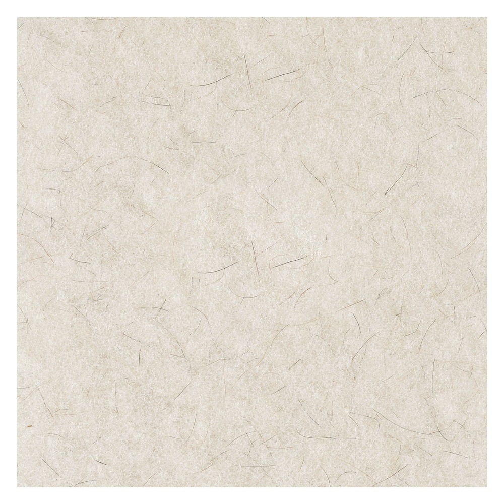 Boardwalk 4021NAT 21″ Diameter Natural Burnishing Floor Pads – White (5/CT) New