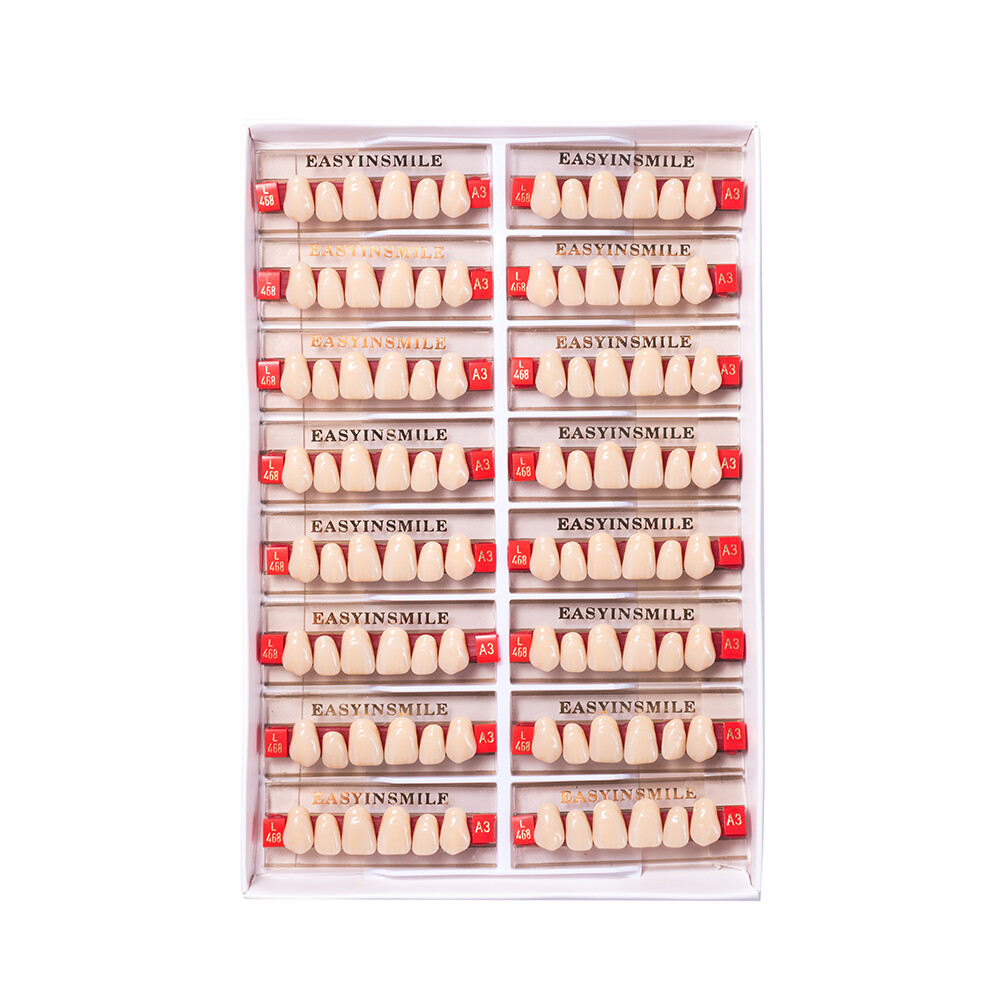 Dental Acrylic Resin Denture Teeth False DIY Full Set Anterior Posterior A1A2A3