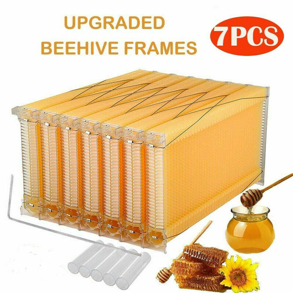 7pcs Auto Oozing Beehives Beekeeping Frames Honey Comb Frames Bee Frames