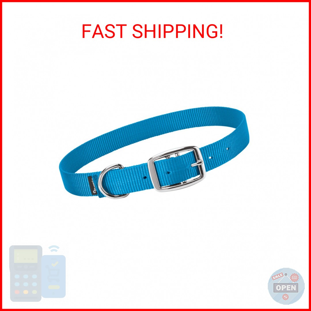 Weaver Leather Livestock Goat Collar, Hurricane Blue, Small