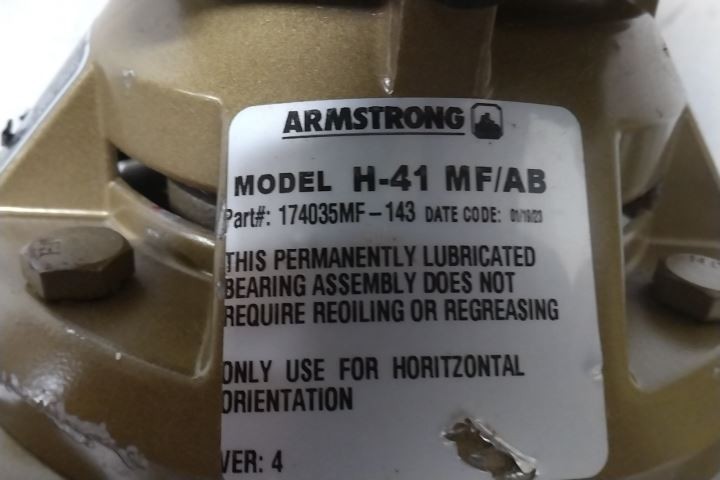 Armstrong Pumps Inc. 174035MF-143 1/6 HP 240VAC Potable Water Circulating Pump